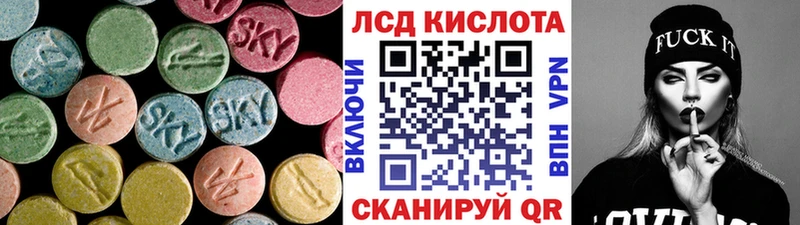 дарнет шоп  Сураж  гидра ССЫЛКА  Лсд 25 экстази кислота 