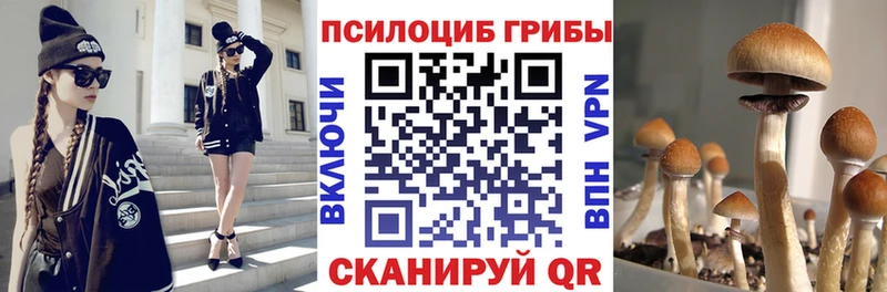 Галлюциногенные грибы прущие грибы ОМГ ОМГ ONION Сураж